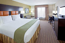 Arlington Texas Hotel King Room