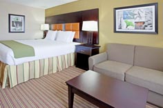 Arlington Texas Hotel King Guest Room